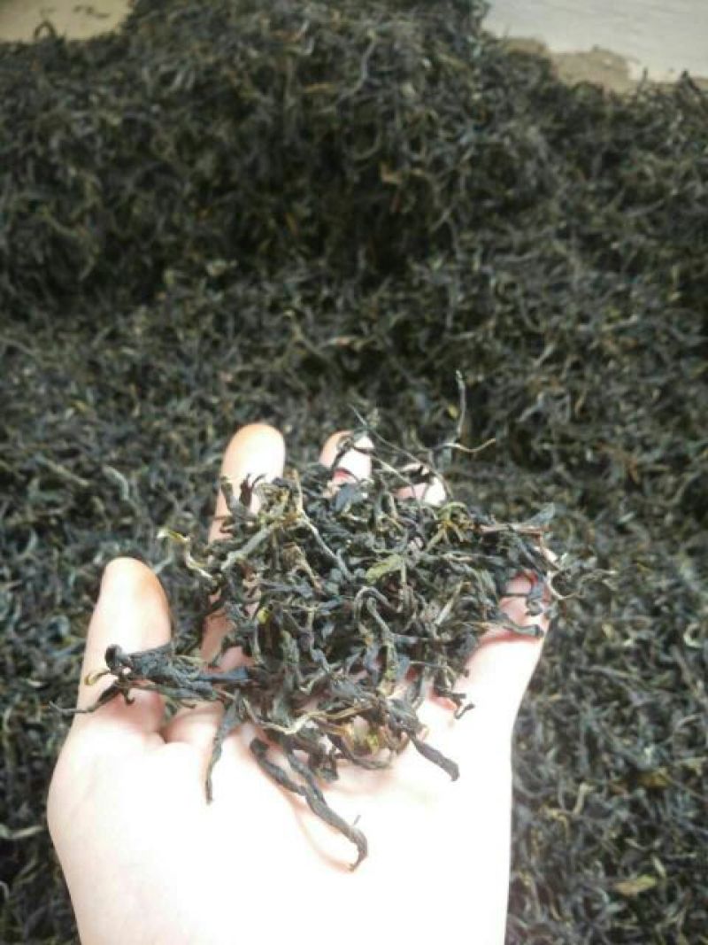 古树普洱茶一级
