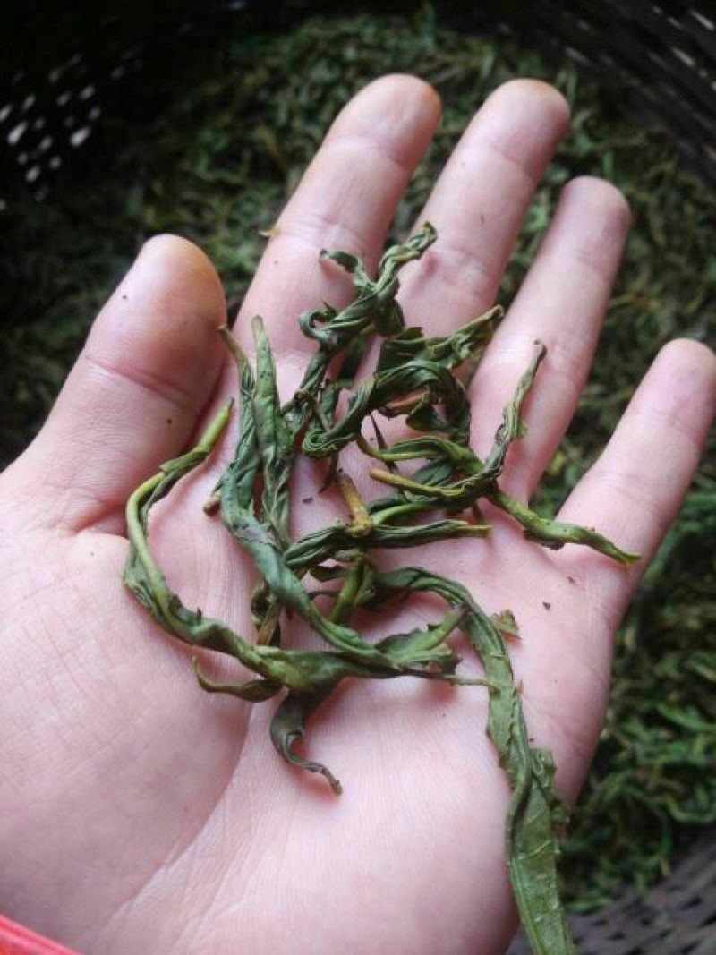 古树普洱茶一级