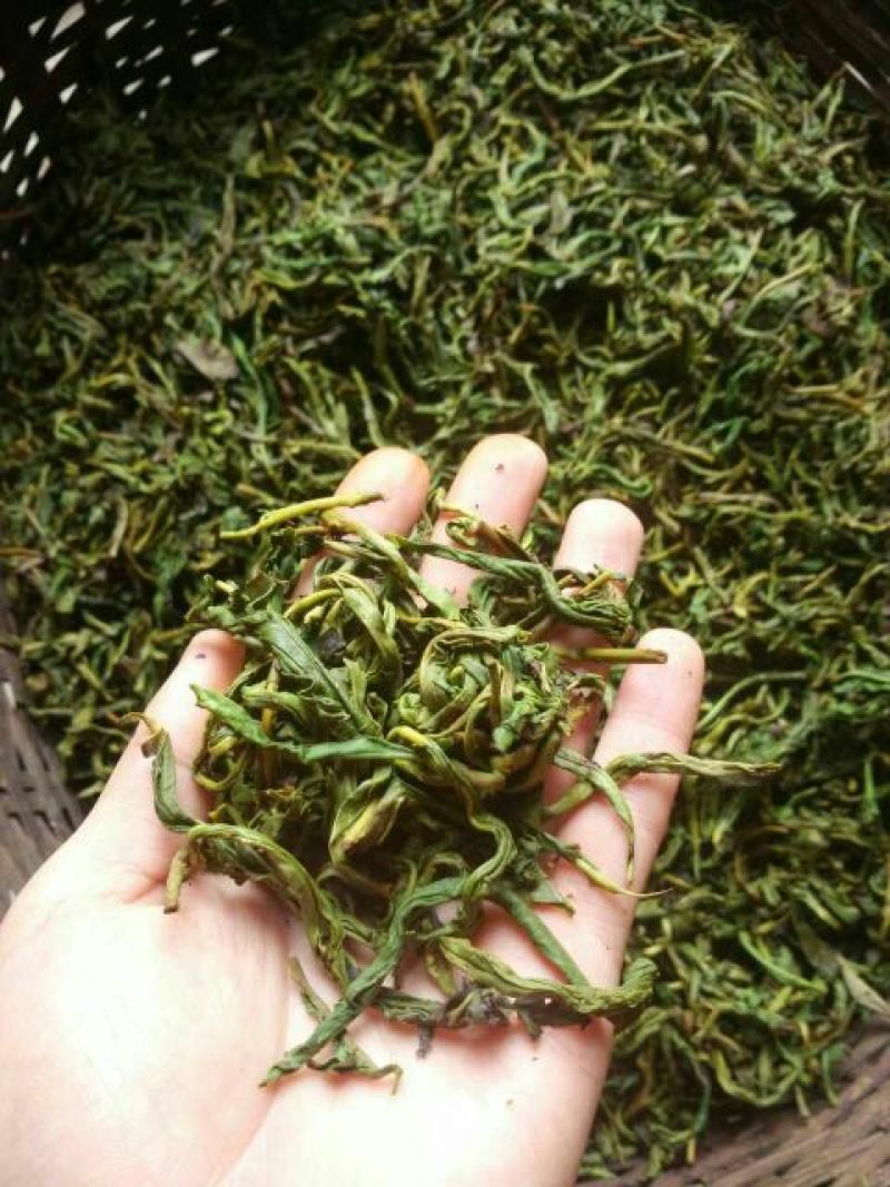 古树普洱茶一级