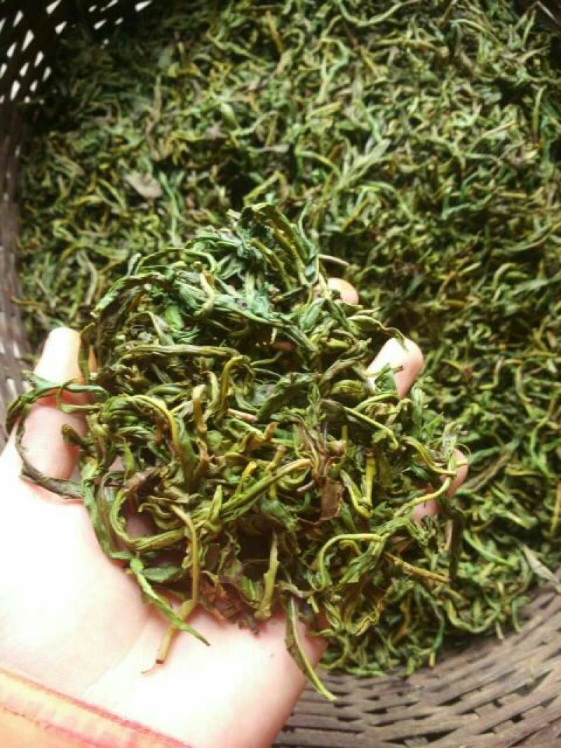 古树普洱茶一级