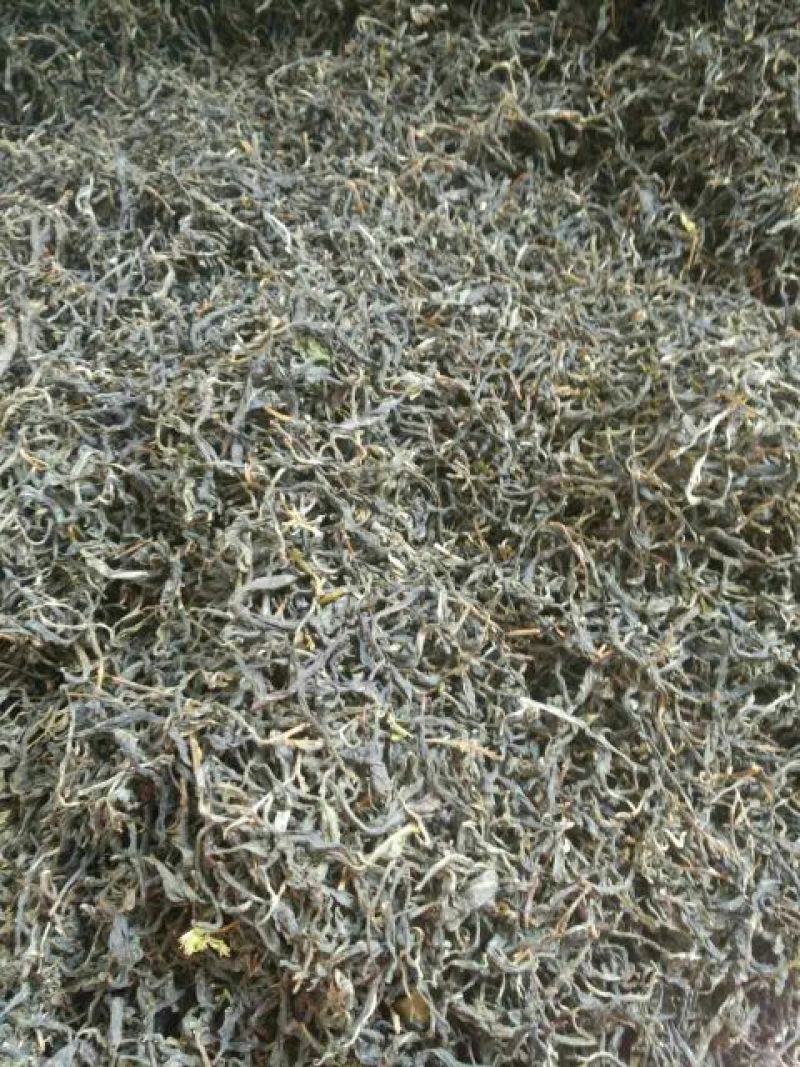 古树普洱茶一级