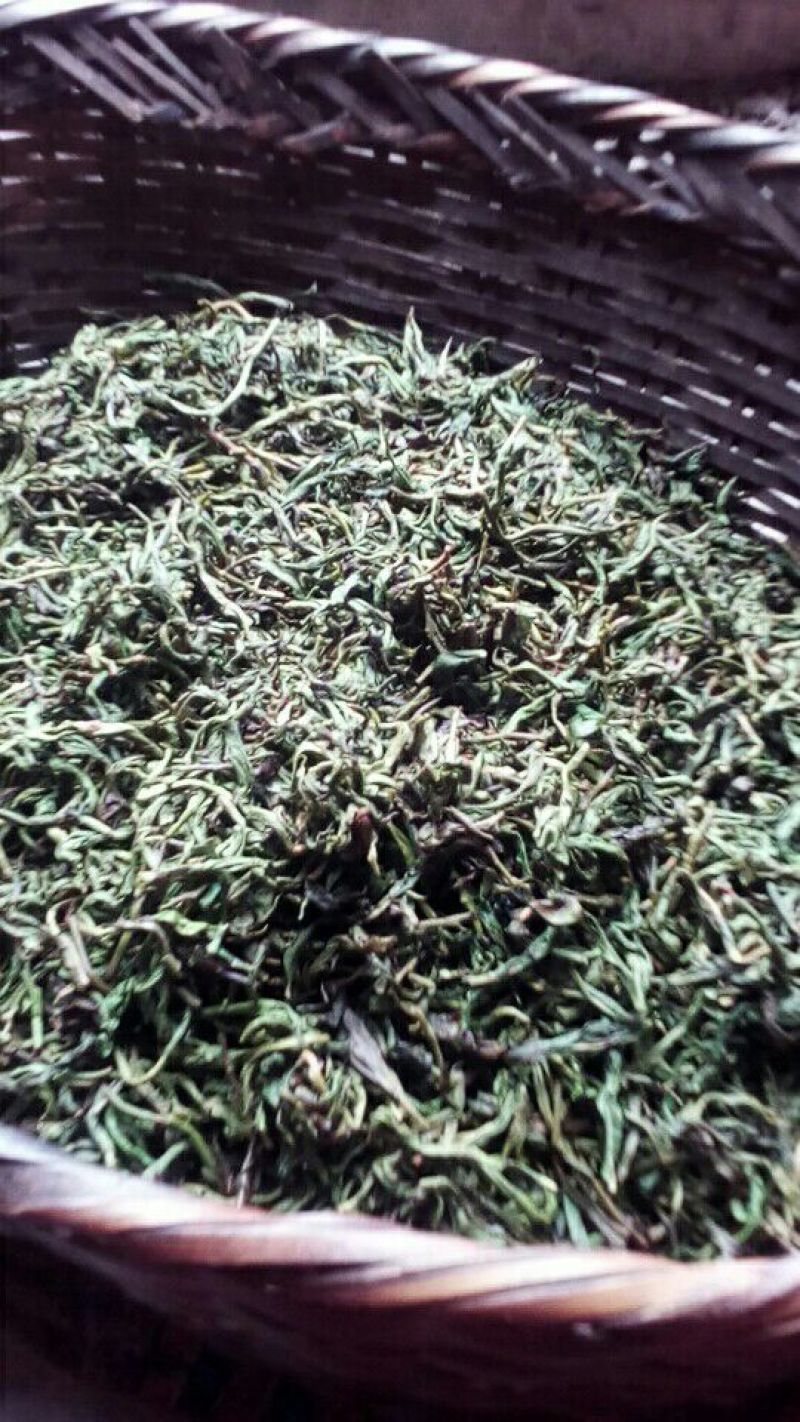 古树普洱茶一级