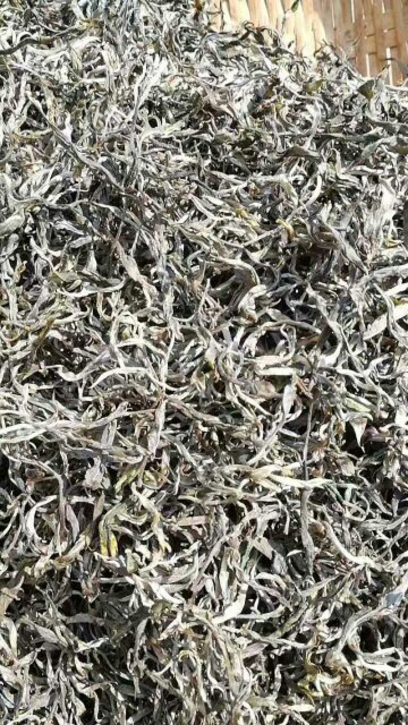 古树茶一级