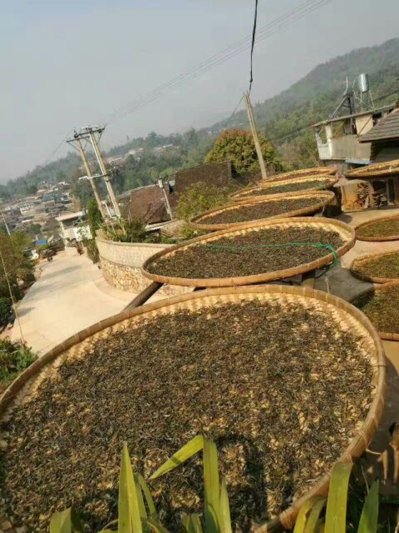 古树茶一级