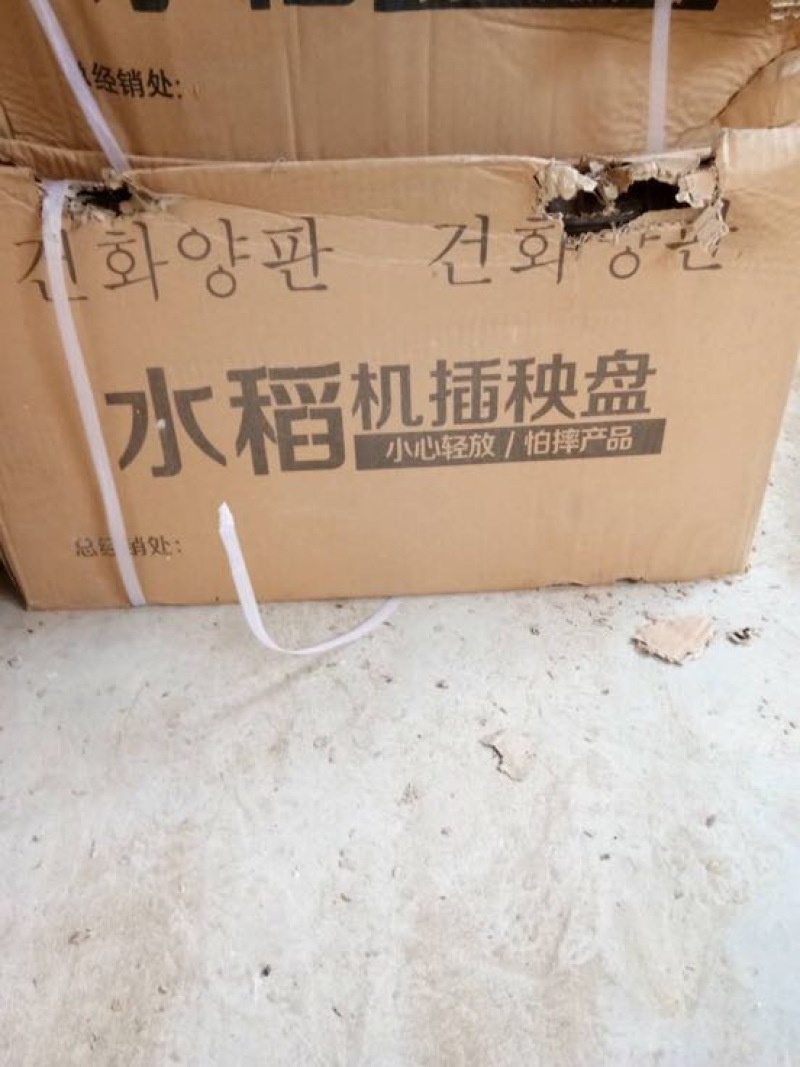 穴盘