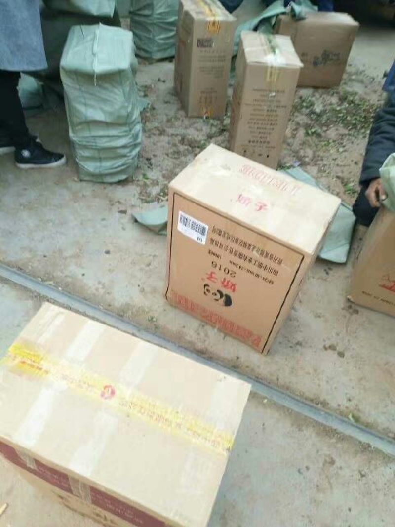 卫矛2cm以下4cm以下0.5米以下