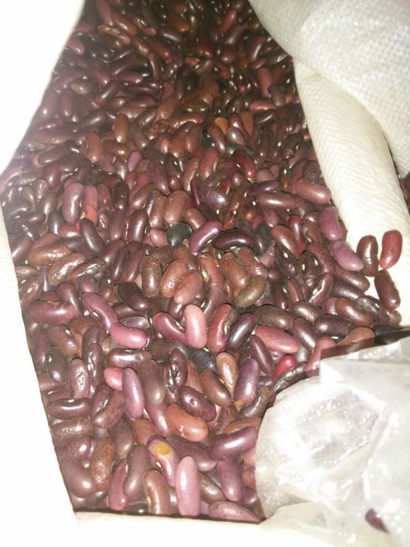 红豆散装