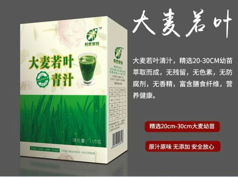 大麦大麦若叶青汁麦苗粉蚂