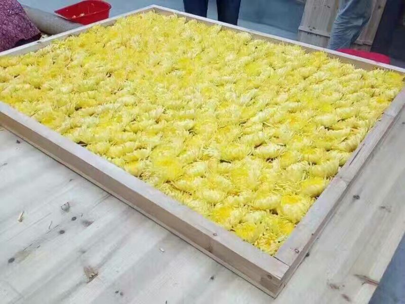 菊花茶