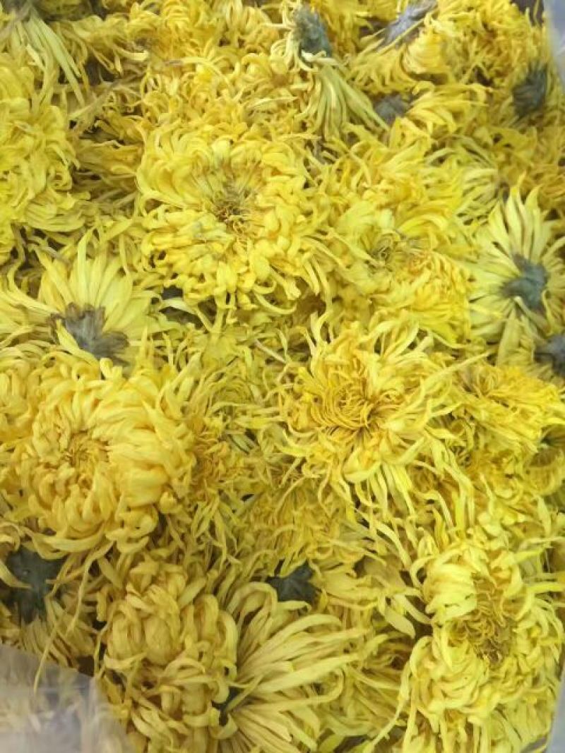 菊花茶