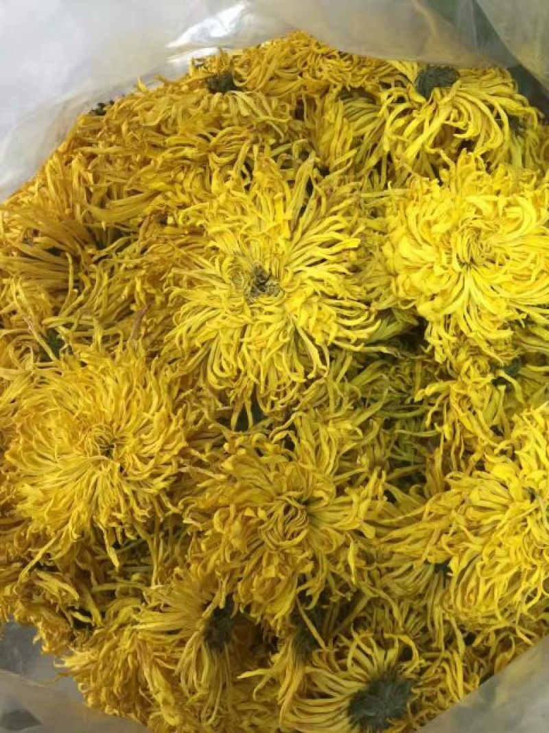 菊花茶