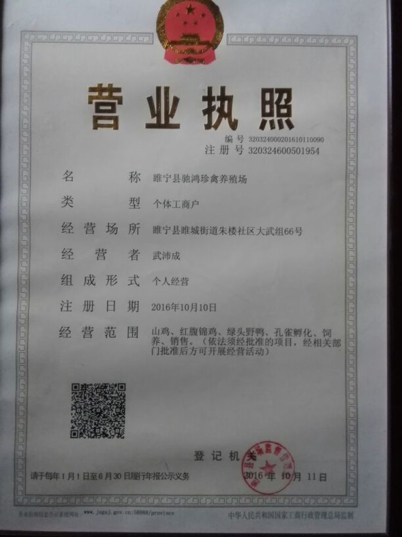 野鸡蛋可孵化，七彩山鸡蛋，山鸡种蛋孵化受精率85~95%