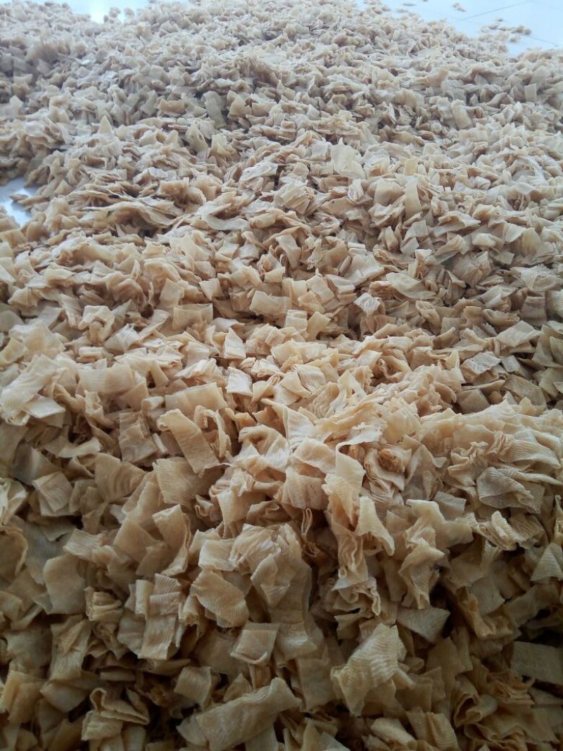 豆皮湿