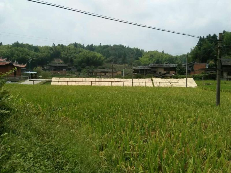 粉干