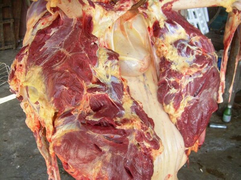 驴肉鲜货