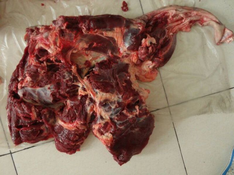 驴肉鲜货