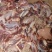 驴肉鲜货