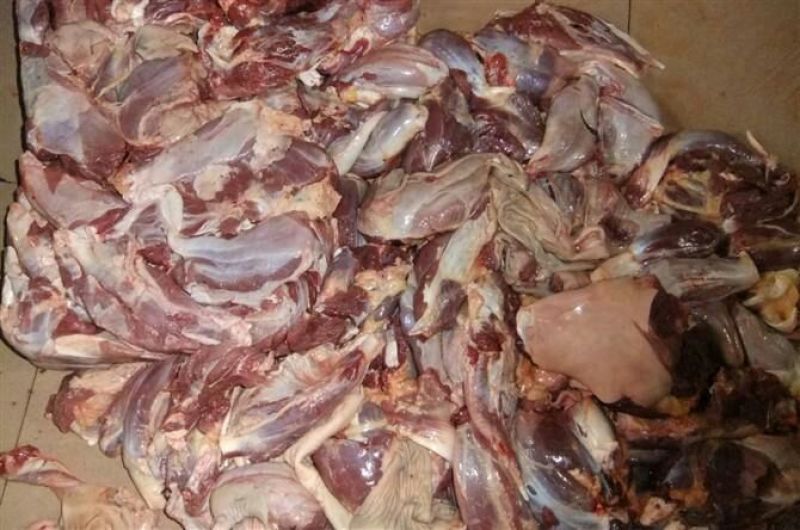 驴肉鲜货