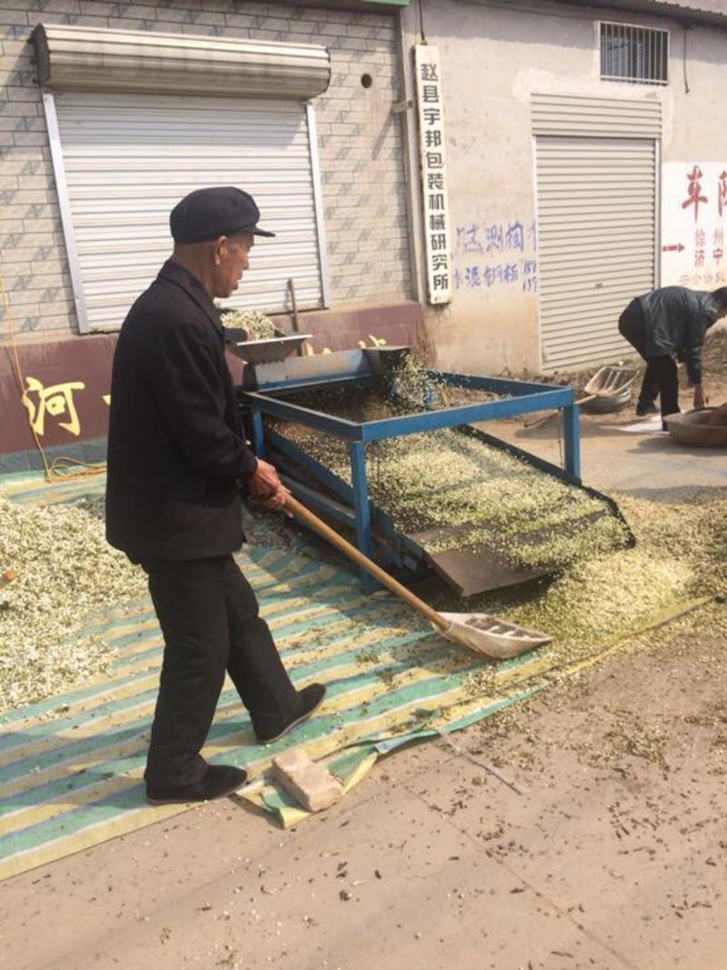 梨花粉，精粉，粗粉大量有货产地直销河北赵县
