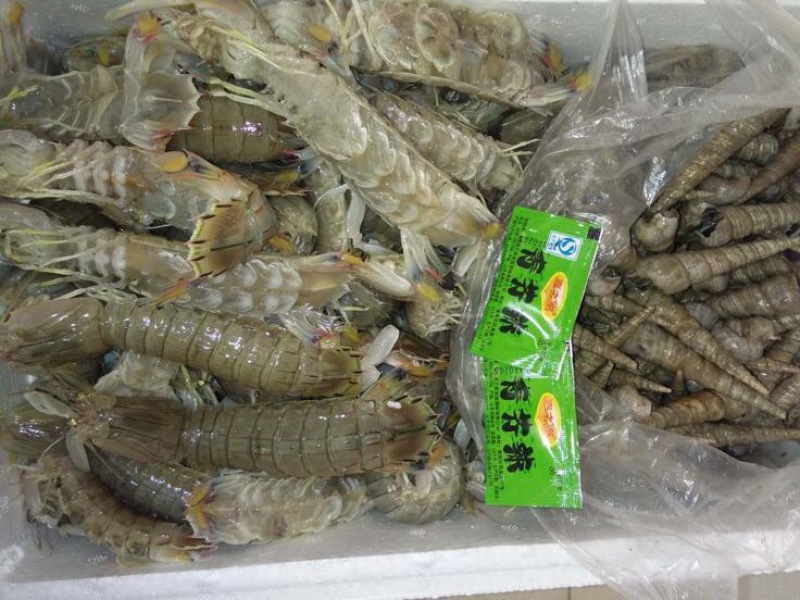皮皮虾