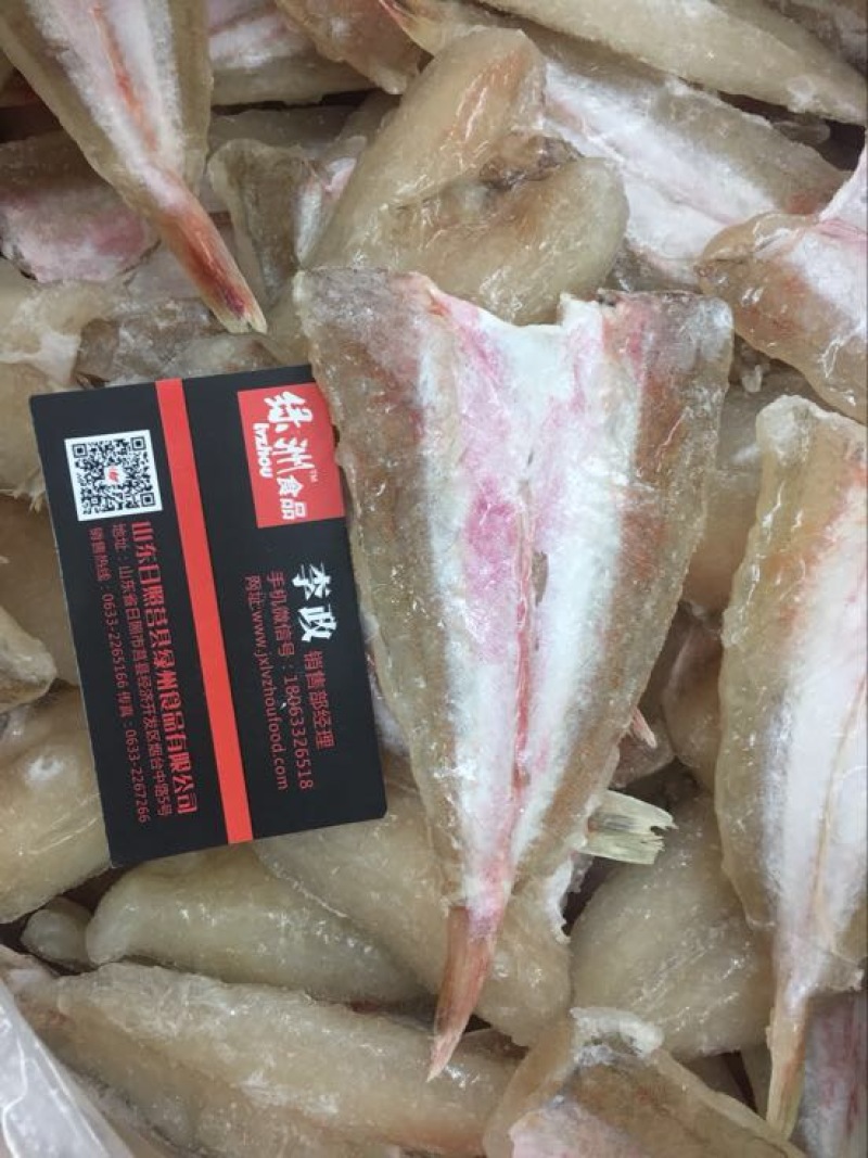 虾夷扇贝