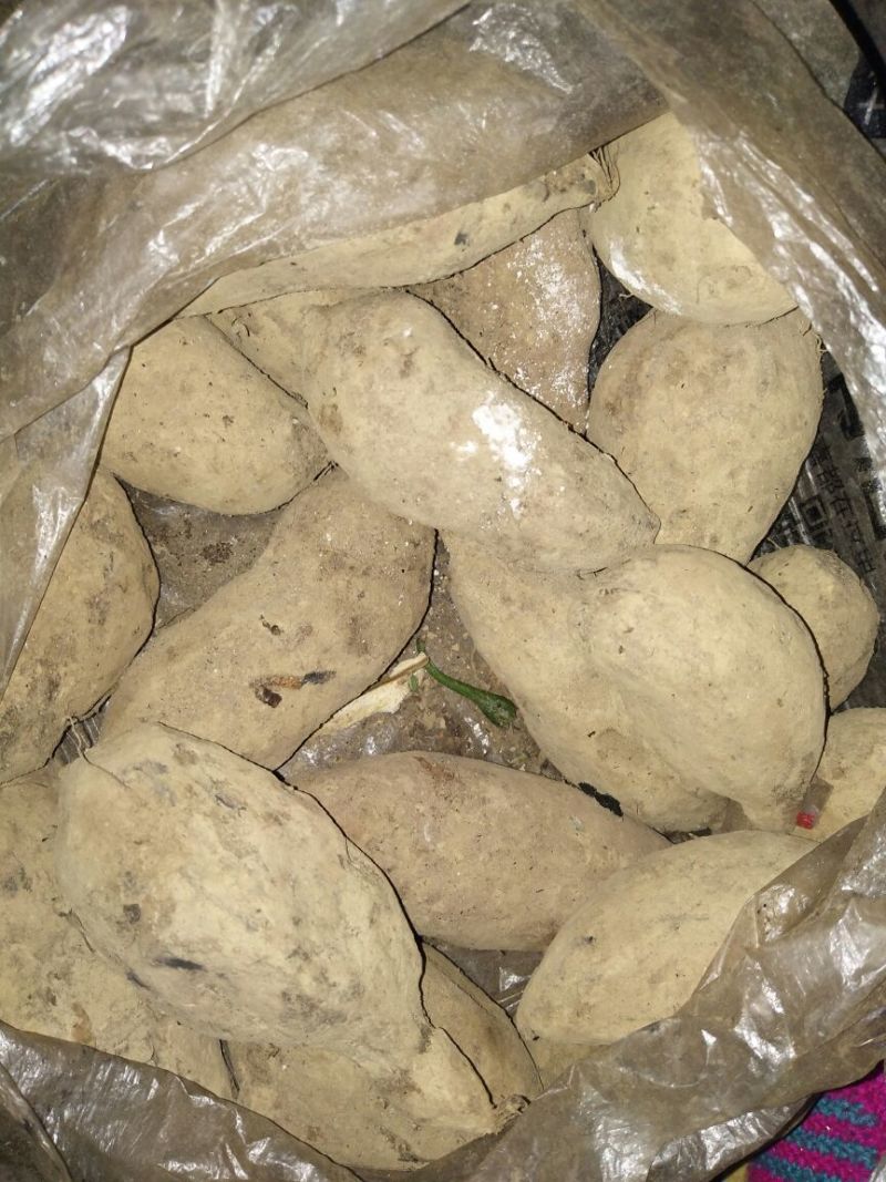 红薯淀粉散装