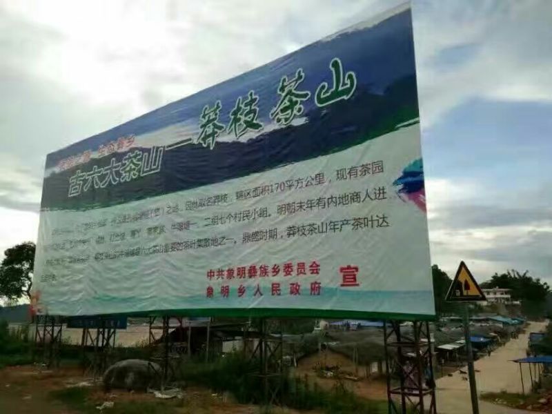 普洱绿茶