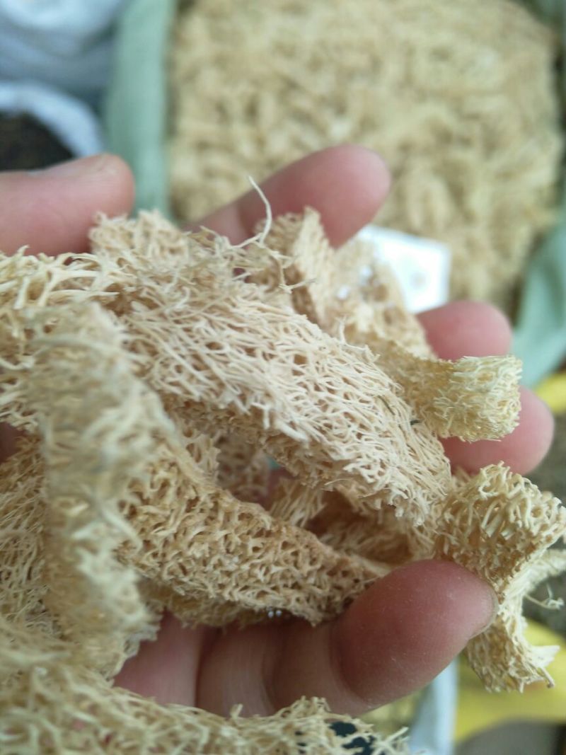 丝瓜络福建干货无硫无添加量大从优。