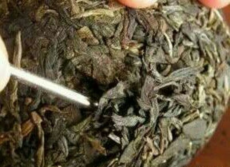 古树普洱茶二级