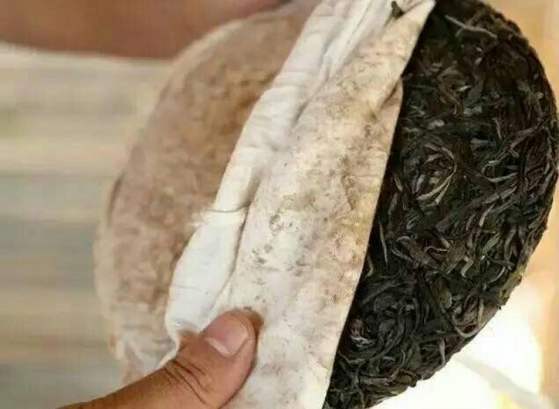 古树普洱茶二级