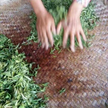 古树普洱茶二级