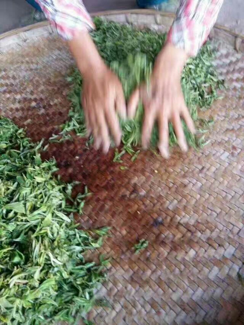 古树普洱茶二级