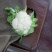 白花菜散装，大小均特白可以散装净菜货，无大根