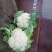 白花菜散装，大小均特白可以散装净菜货，无大根