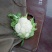 白花菜散装，大小均特白可以散装净菜货，无大根