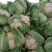 白花菜散装，大小均特白可以散装净菜货，无大根