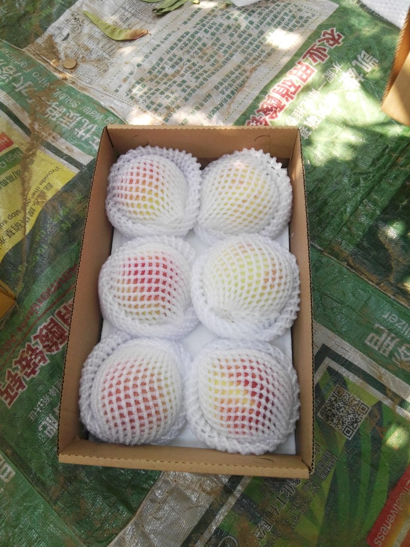 深州蜜桃80mm以上