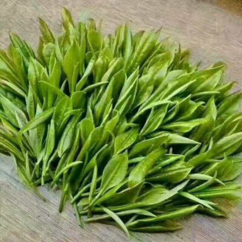 五峰绿茶