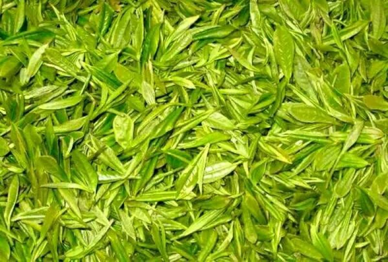 五峰绿茶