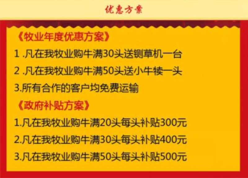 夏洛莱牛犊养殖基地直供一手货源诚信共赢！