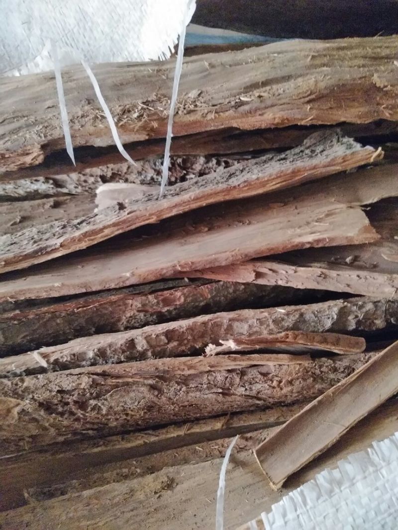 卡宾达树皮安哥拉大树老24小时有效厚皮统货都有