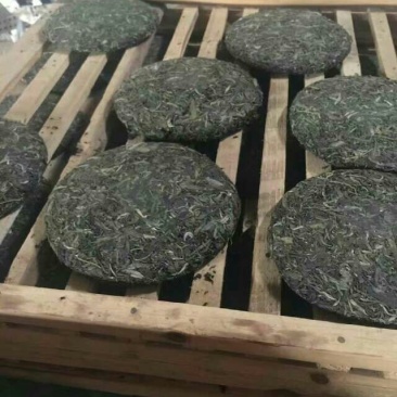 辣木茶特级