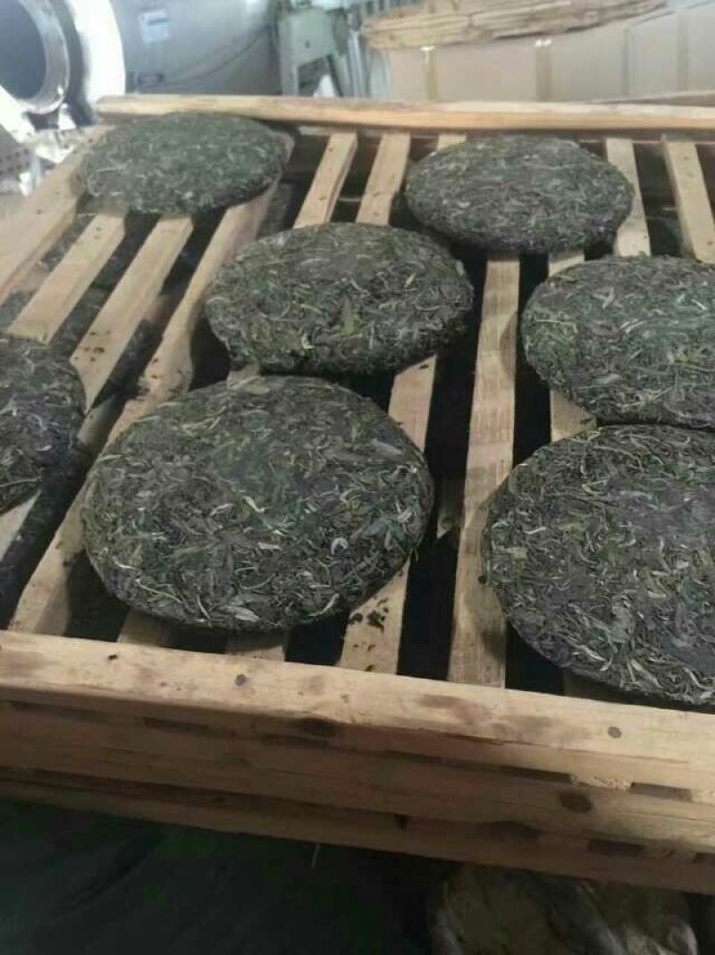 辣木茶特级