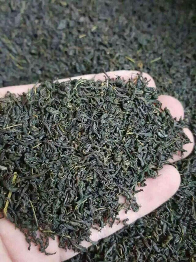 辣木茶特级