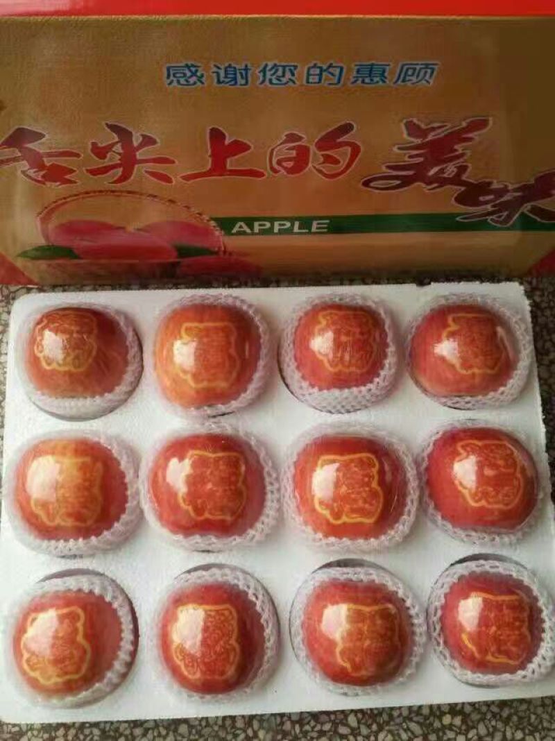 水晶富士苹果85mm以上纸+膜袋