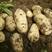 荷兰十五土豆，希森6号，沃土5号，基地直销。专业打包