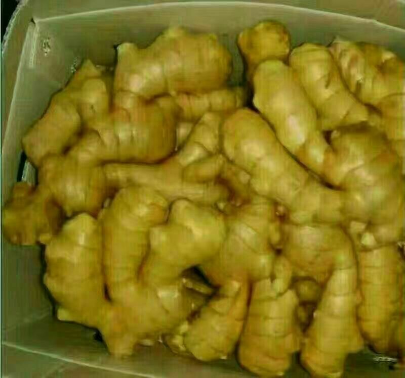 山东优质精品生姜带土可视频看货支持全国各地都发货