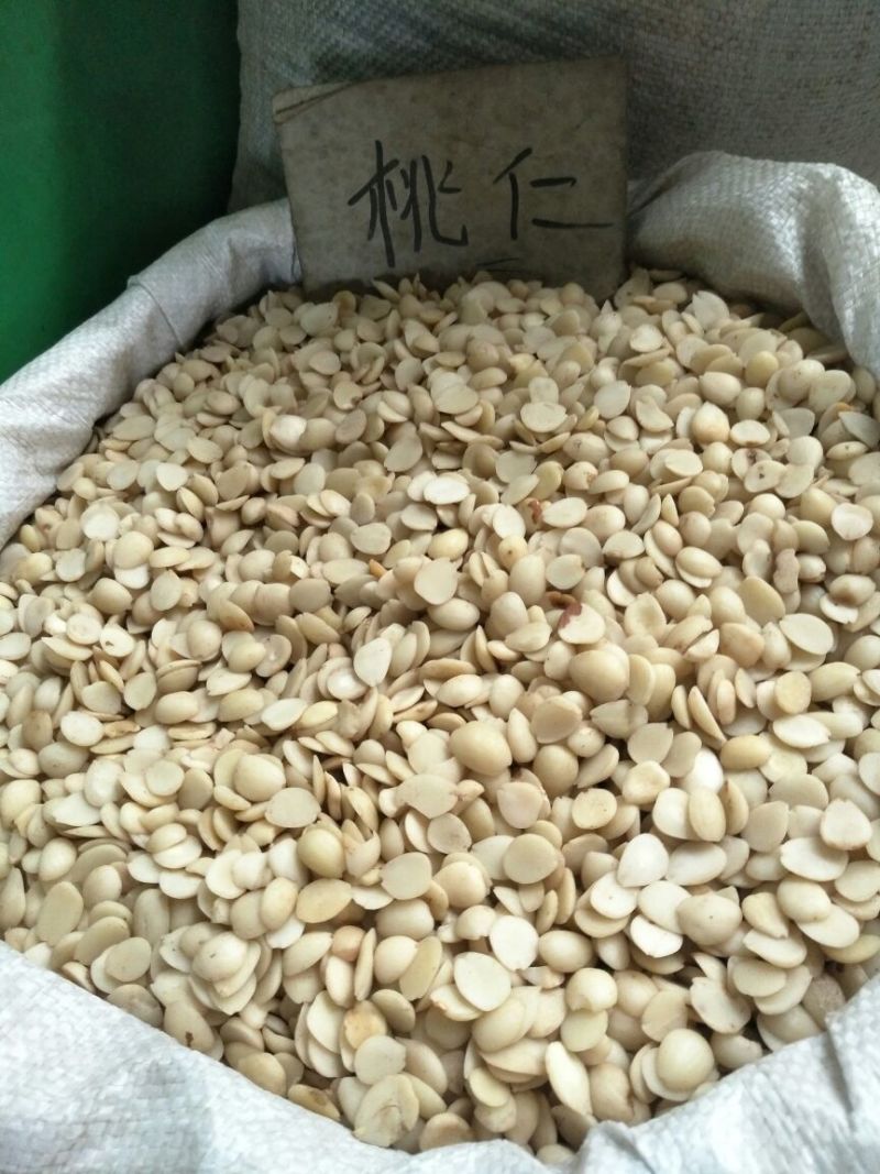 桃仁