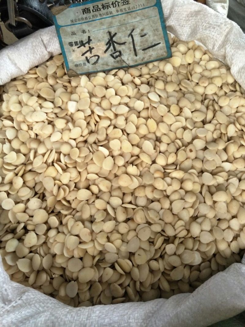 苦杏仁