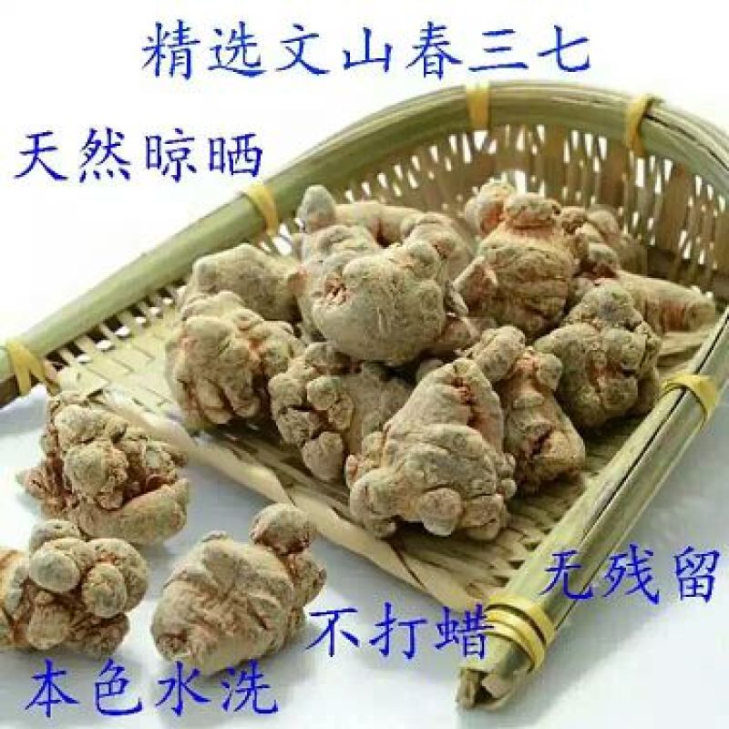 三七40头选货